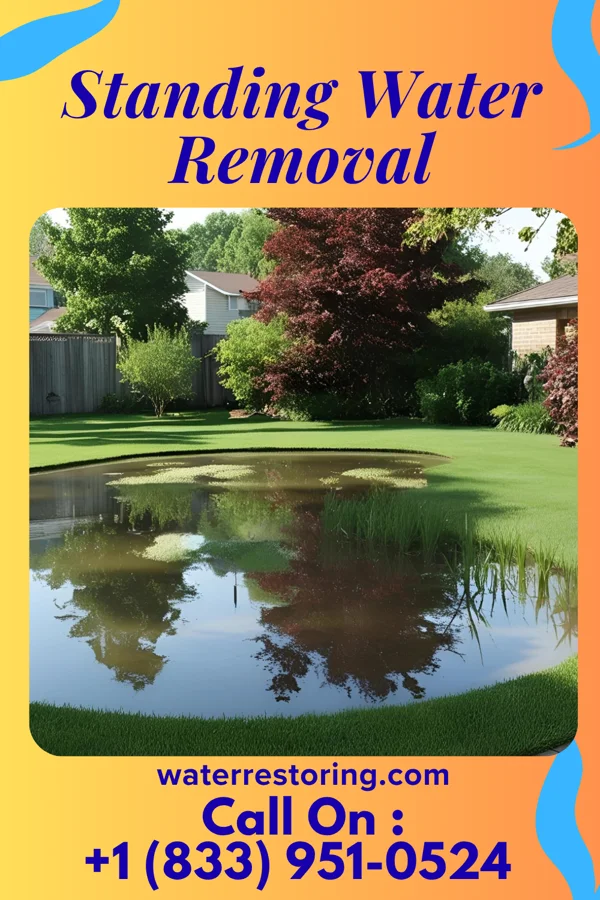 Standing Water Removal in Vail, IA